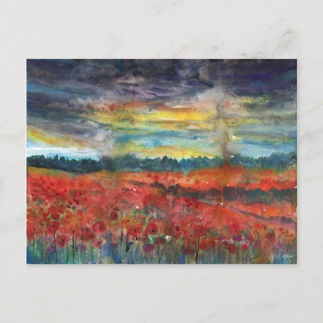 Poppy Field After Rain Postcard (Front)
