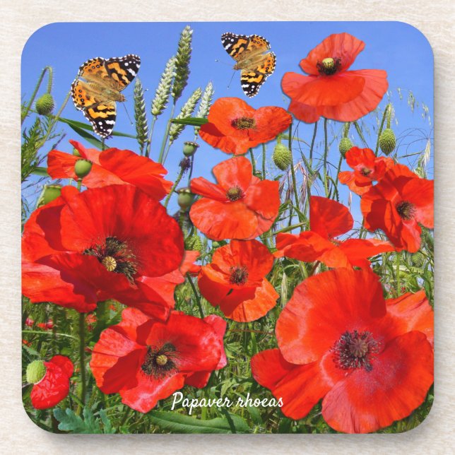 Poppy Field and Butterflies Coaster (Front)