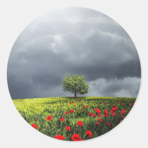Poppy Field and Cloudy Sky Classic Round Sticker