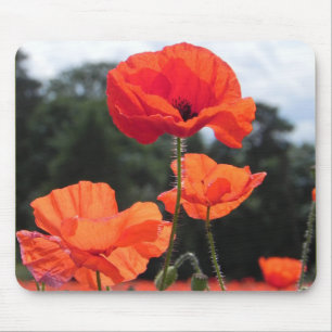 Poppy Field, beautiful blooms, Mouse Mat