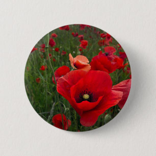 Poppy Field Button Badge