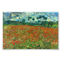 Poppy Field by Vincent Van Gogh 
