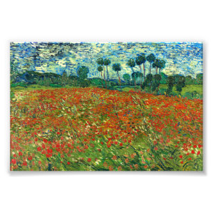 Poppy Field by Vincent Van Gogh  Photo Print