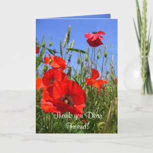 POPPY FIELD  ~ Card  for Friends