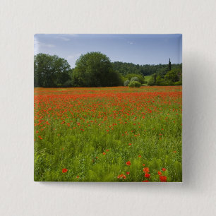 Poppy field, Chiusi, Italy 15 Cm Square Badge