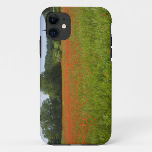 Poppy field, Chiusi, Italy iPhone 11 Case
