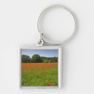 Poppy field, Chiusi, Italy Key Ring