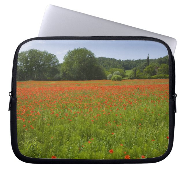 Poppy field, Chiusi, Italy Laptop Sleeve (Front)