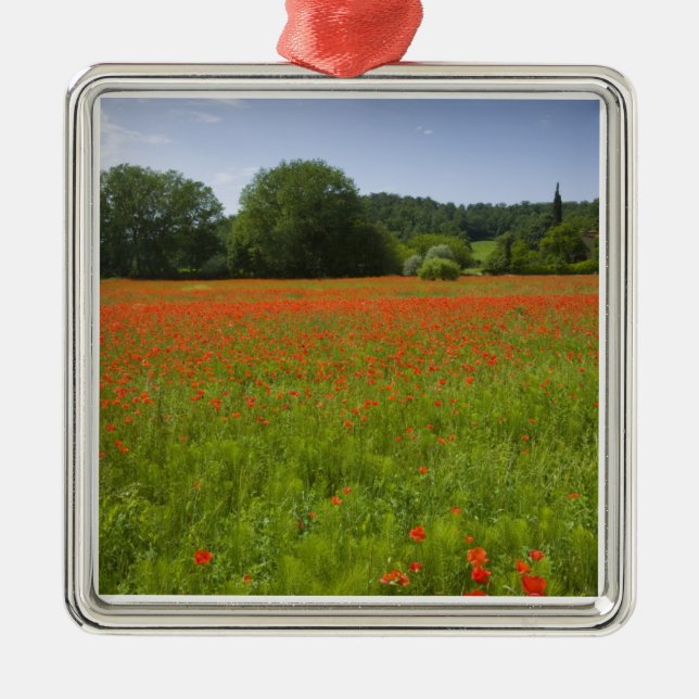 Poppy field, Chiusi, Italy Metal Tree Decoration (Front)