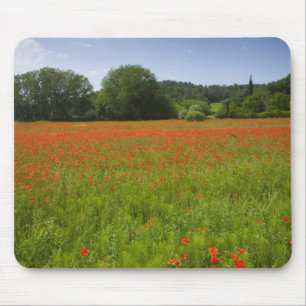 Poppy field, Chiusi, Italy Mouse Mat