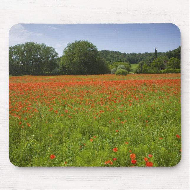 Poppy field, Chiusi, Italy Mouse Mat (Front)