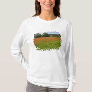 Poppy field, Chiusi, Italy T-Shirt