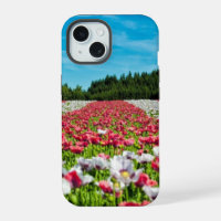 Poppy Field