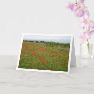 Poppy Field Landscape Card
