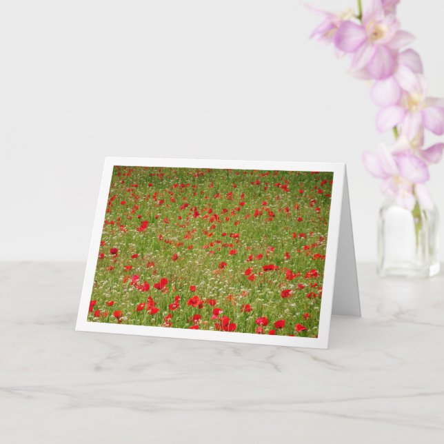 Poppy Field Landscape Card (Orchid)