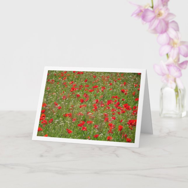 Poppy Field Landscape Card (Orchid)