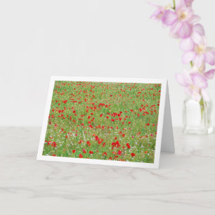 Poppy Field Landscape Card