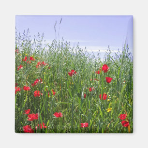 Poppy Field Magnet