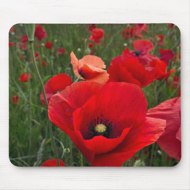Poppy Field Mouse Mat (Front)