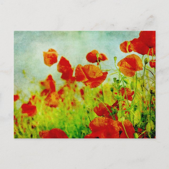 Poppy Field Postcard (Front)