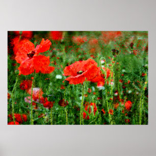 Poppy Field Poster Print