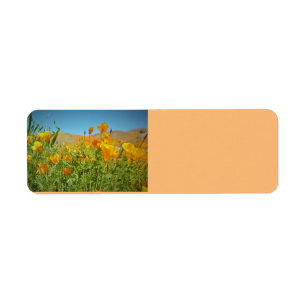Poppy Field Return Address Labels by Reay of Light