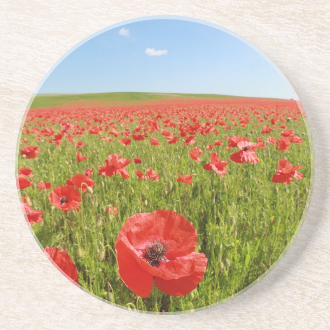 Poppy field - Stunning! Coaster (Front)