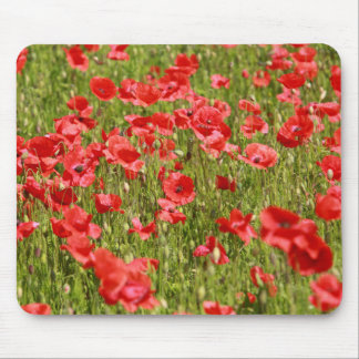 Poppy field - Stunning! Mouse Mat