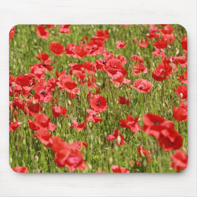 Poppy field - Stunning! Mouse Mat (Front)