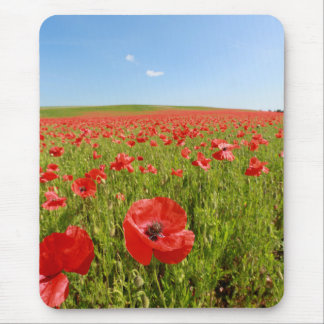 Poppy field - Stunning! Mouse Mat