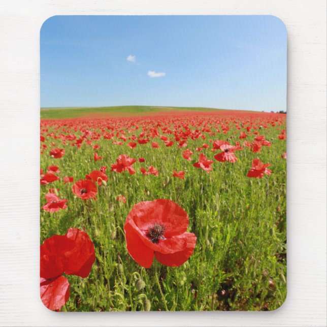 Poppy field - Stunning! Mouse Mat (Front)