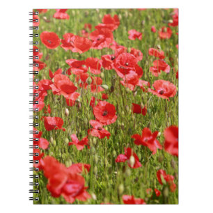 Poppy field - Stunning! Notebook