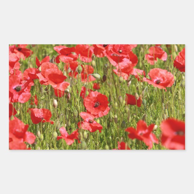 Poppy field - Stunning! Rectangular Sticker (Front)