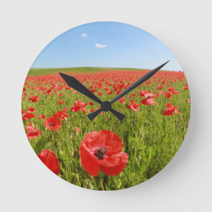Poppy field - Stunning! Round Clock