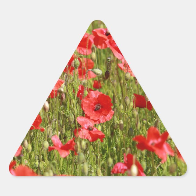 Poppy field - Stunning! Triangle Sticker (Front)