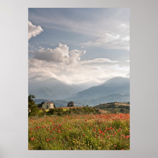 Poppy fields in Italy Poster (Front)