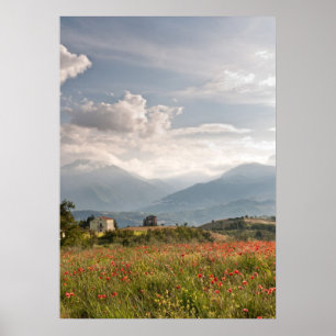 Poppy fields in Italy Poster