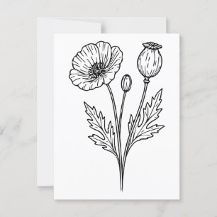 Poppy Flower Botanical Bloom Line Art Postcard