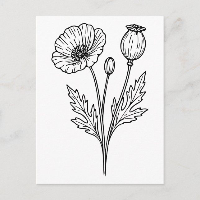 Poppy Flower Botanical Bloom Line Art Postcard (Front)