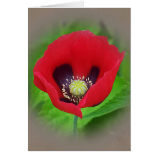 Poppy Flower Card