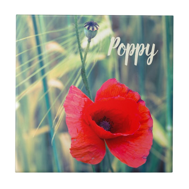 Poppy flower for gardeners and blossom lover gift tile (Front)
