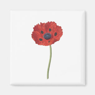 Poppy Flower Plant Blossom Bloom Magnet