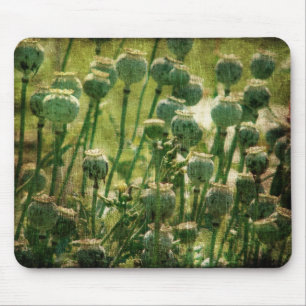 Poppy Flower Seed Pods Mouse Mat