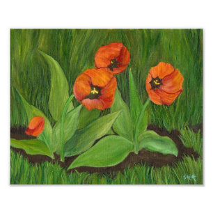 Poppy Flowering Tulips Photo Print