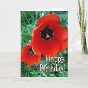 Poppy Flowers - Happy Birthday! Card