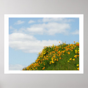 Poppy Flowers Meadow art prints Home Decor