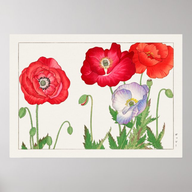 Poppy Flowers, Red and Purple, by Tanigami Konan, Poster (Front)