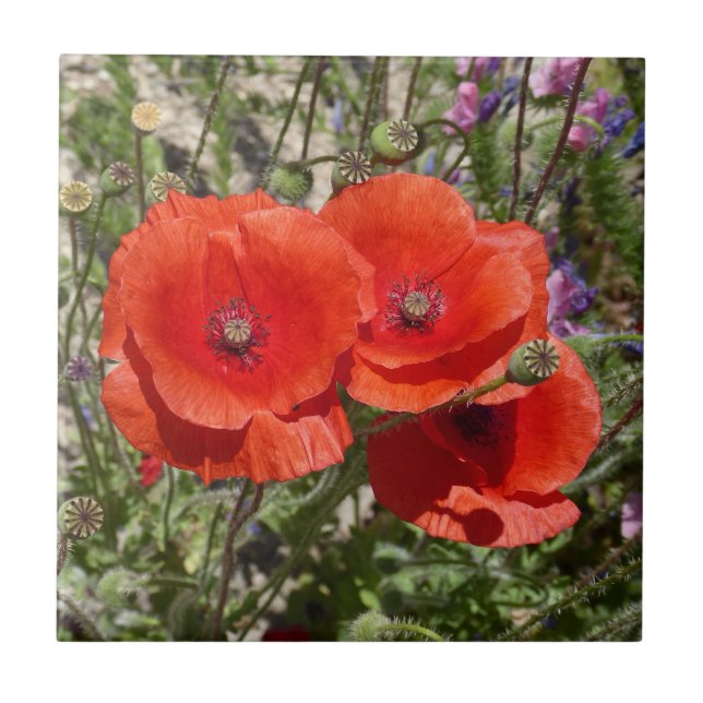 POPPY FLOWERS TILE (Front)