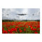 Poppy Flypast