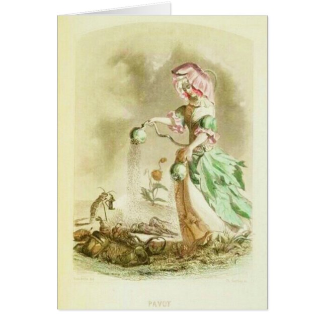 Poppy Girl (Front)
